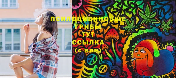 а пвп мука Богородск