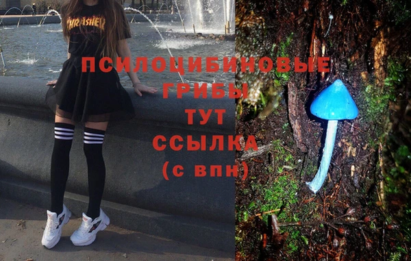 а пвп мука Богородск