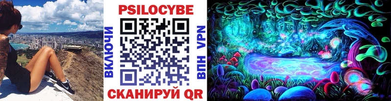 Галлюциногенные грибы Psilocybine cubensis купить наркоту Малая Вишера